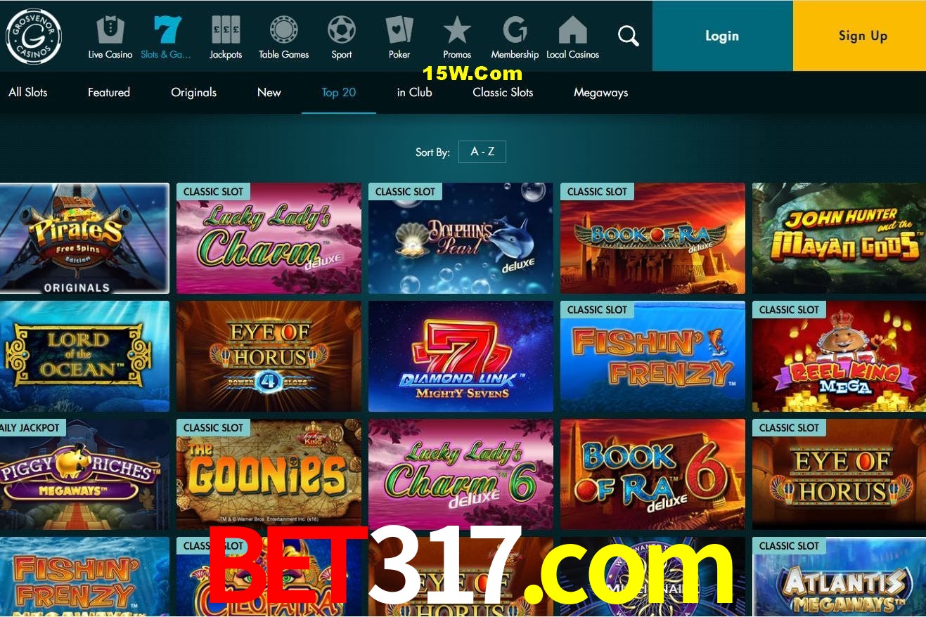 Live Casino bet317.com
